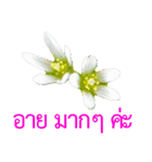 kikimama Flower Stickerタイ語版（個別スタンプ：38）