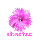 kikimama Flower Stickerタイ語版（個別スタンプ：39）