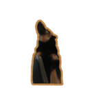 ももたろう(雑種)（個別スタンプ：14）