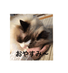 ラグラグ（個別スタンプ：11）