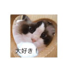ラグラグ（個別スタンプ：13）