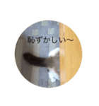 ラグラグ（個別スタンプ：16）