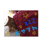 みのりんと猫さん（個別スタンプ：2）