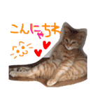 みのりんと猫さん（個別スタンプ：9）