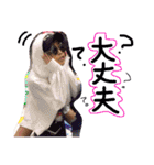 みのりんと猫さん（個別スタンプ：16）