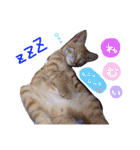 みのりんと猫さん（個別スタンプ：23）