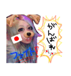 みのりんと猫さん（個別スタンプ：27）