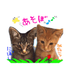 みのりんと猫さん（個別スタンプ：28）