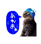 みのりんと猫さん（個別スタンプ：30）