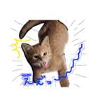 みのりんと猫さん（個別スタンプ：31）