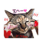 みのりんと猫さん（個別スタンプ：34）
