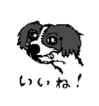 近所のくそ犬（個別スタンプ：23）