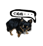 konankun stamp（個別スタンプ：6）