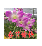 orchids china（個別スタンプ：2）