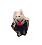 黒白猫（個別スタンプ：8）