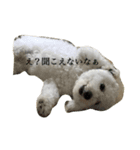 もきち君（個別スタンプ：7）