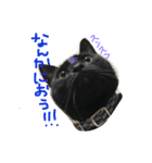 黒猫さくちゃん))（個別スタンプ：2）