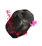 黒猫さくちゃん))（個別スタンプ：3）