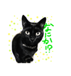 黒猫さくちゃん))（個別スタンプ：4）