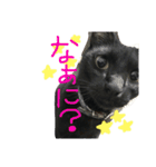 黒猫さくちゃん))（個別スタンプ：5）