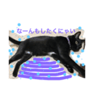 黒猫さくちゃん))（個別スタンプ：10）