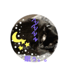 黒猫さくちゃん))（個別スタンプ：11）