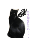 黒猫さくちゃん))（個別スタンプ：12）