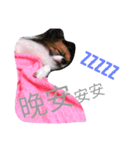 Hocky（個別スタンプ：3）