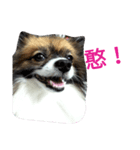 Hocky（個別スタンプ：5）