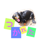 りんさなすたんぷ（個別スタンプ：8）