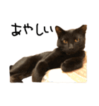 猫の気持ち・改（個別スタンプ：10）