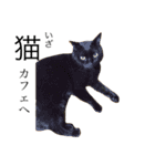 猫の気持ち・改（個別スタンプ：26）