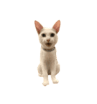 猫の気持ち・改（個別スタンプ：28）