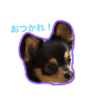 よるぺぺ(2)（個別スタンプ：6）