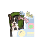 Lucian life（個別スタンプ：12）