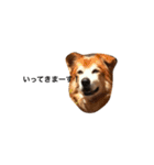 The dog "tesu" 2（個別スタンプ：15）