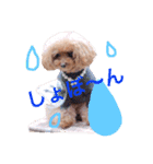 てぃあここ（個別スタンプ：2）