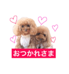 てぃあここ（個別スタンプ：5）
