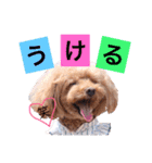 てぃあここ（個別スタンプ：12）