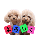 てぃあここ（個別スタンプ：16）