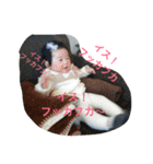 dreamchan-stamp 3（個別スタンプ：2）