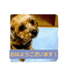 あんずの日常挨拶（個別スタンプ：6）