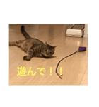 ももすた8（個別スタンプ：6）