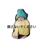 hinaco（個別スタンプ：22）