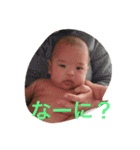 KN2（個別スタンプ：12）