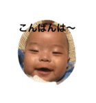KN2（個別スタンプ：21）