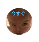 KN2（個別スタンプ：33）