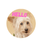 DOGs stamp, my family（個別スタンプ：2）
