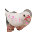 こゆきすたんぷ（個別スタンプ：2）