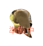 こゆきすたんぷ（個別スタンプ：4）